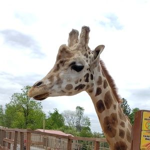 Meet your Posher, Melanie